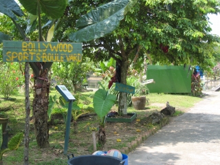 a0042295_12114962.jpg