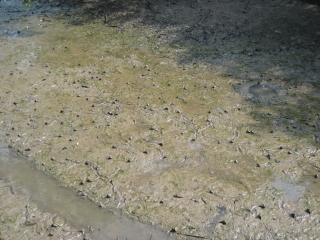 a0042295_122043.jpg
