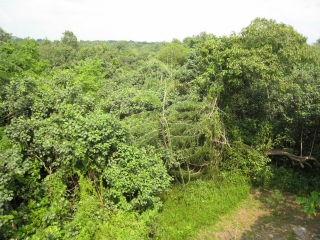 a0042295_1235060.jpg