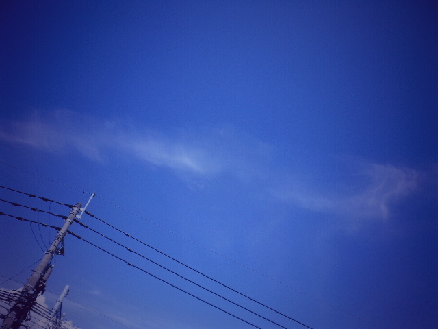 d0246595_10205028.jpg