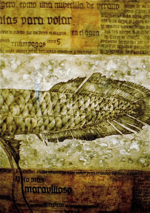 a0199297_1340168.jpg