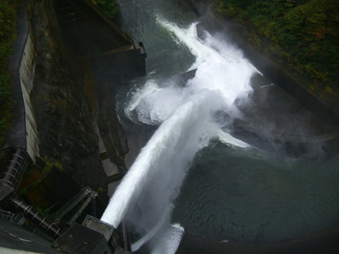 a0138198_16321363.jpg