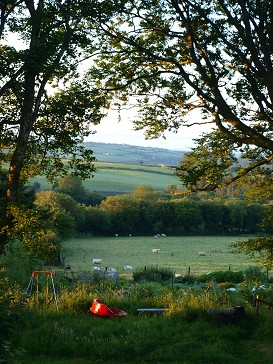 b0110999_14512258.jpg