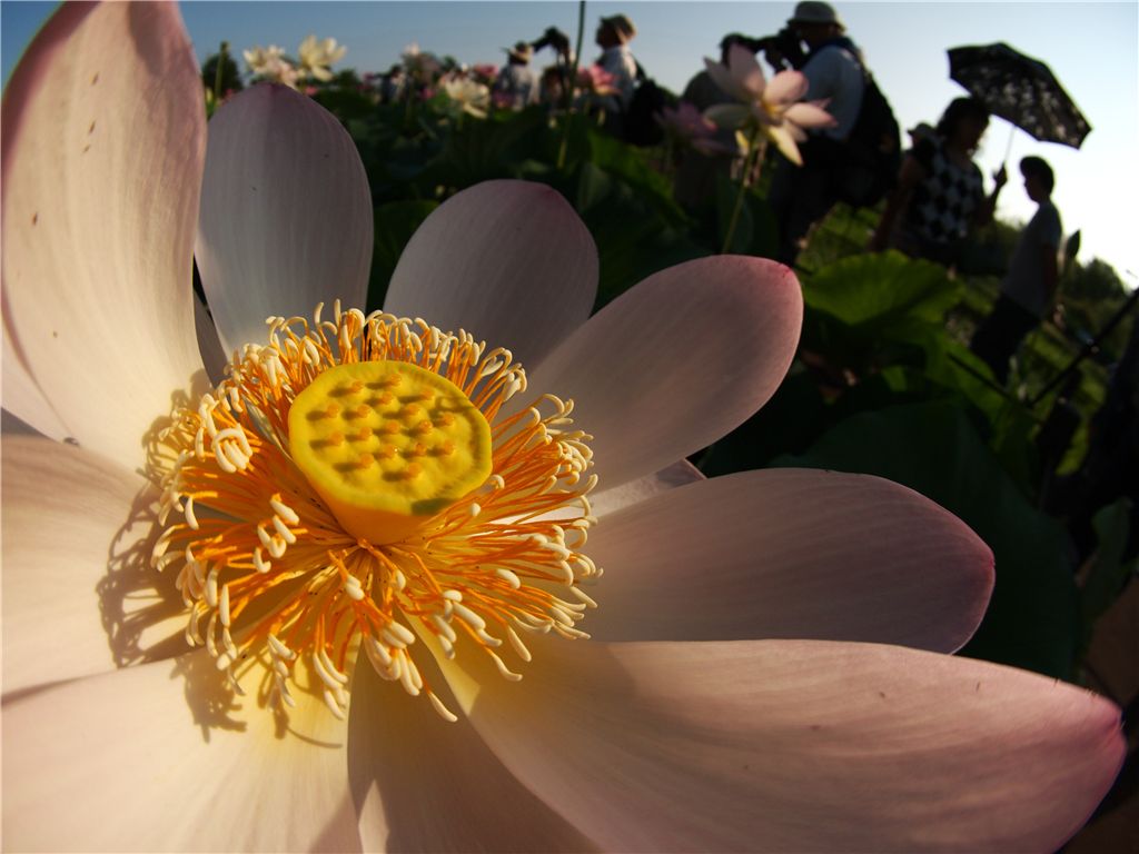 f0224100_22521220.jpg
