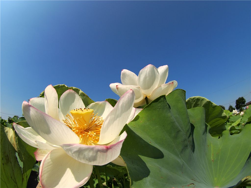 f0224100_22543276.jpg