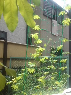 a0180208_23104111.jpg