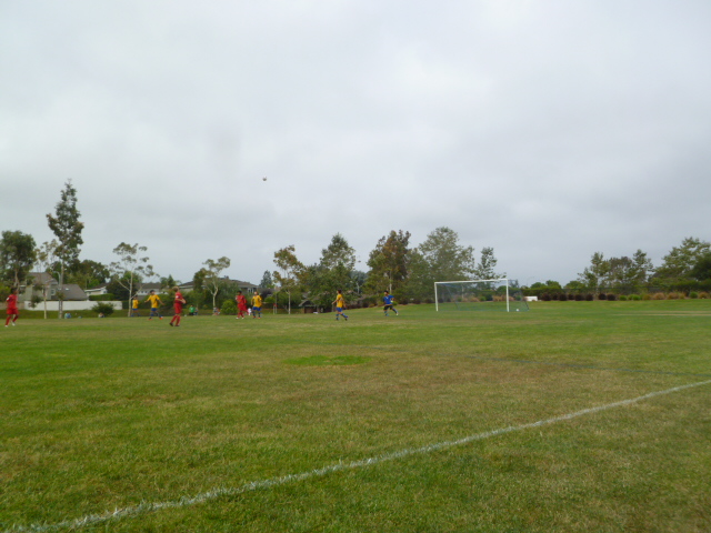 a0144811_0285348.jpg