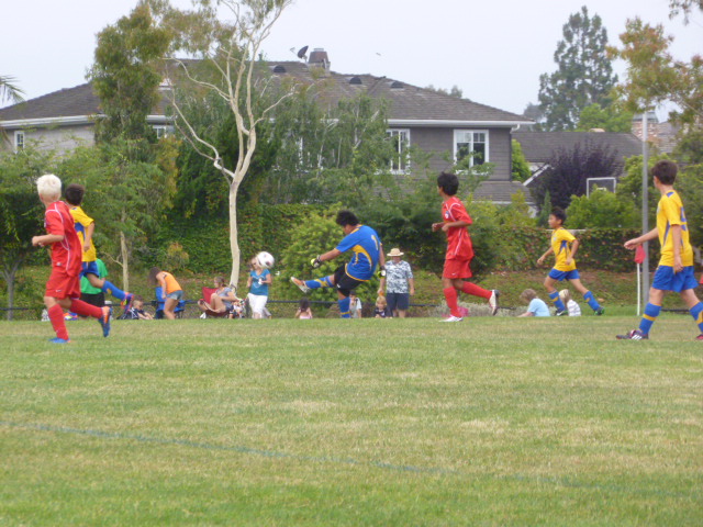 a0144811_029781.jpg