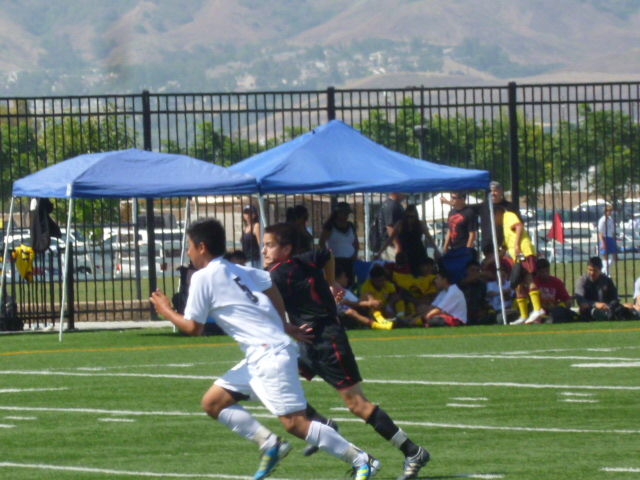 a0144811_22364354.jpg