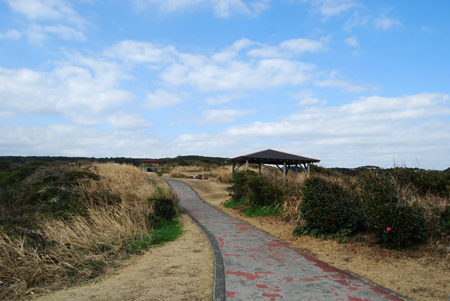 d0113613_1122142.jpg