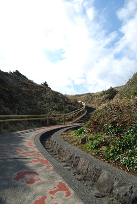 d0113613_116564.jpg