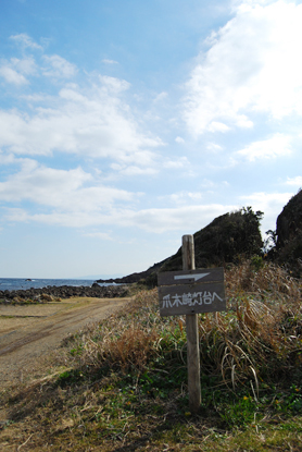 d0113613_116967.jpg