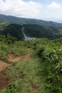 d0182913_18212568.jpg