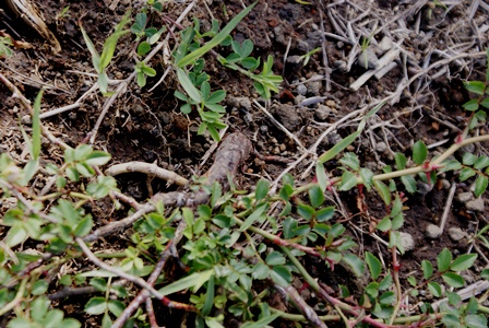d0182913_1855382.jpg