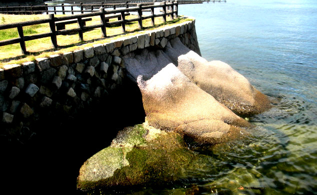 e0125014_16311893.jpg