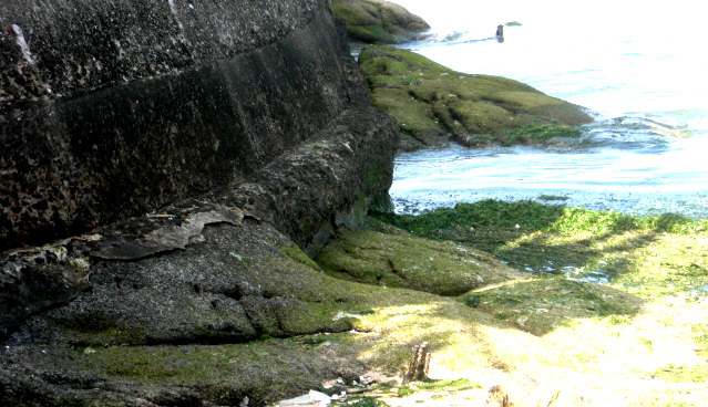 e0125014_1644221.jpg