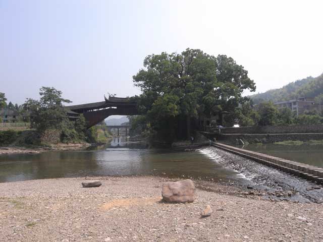 e0049318_1637454.jpg