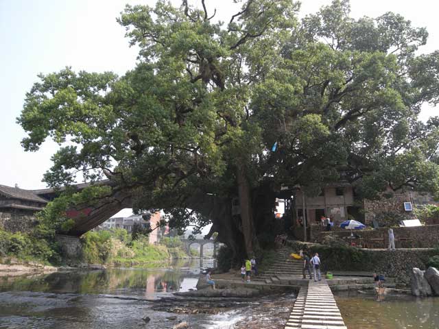 e0049318_16425424.jpg