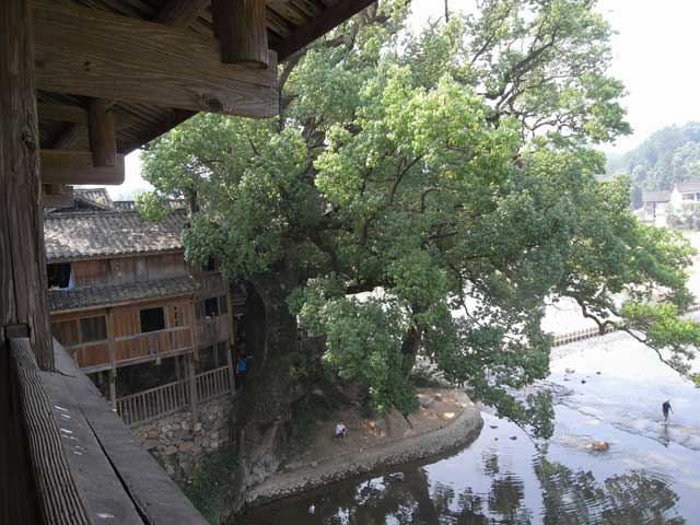 e0049318_1655163.jpg