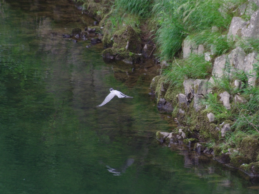 f0160222_10173743.jpg