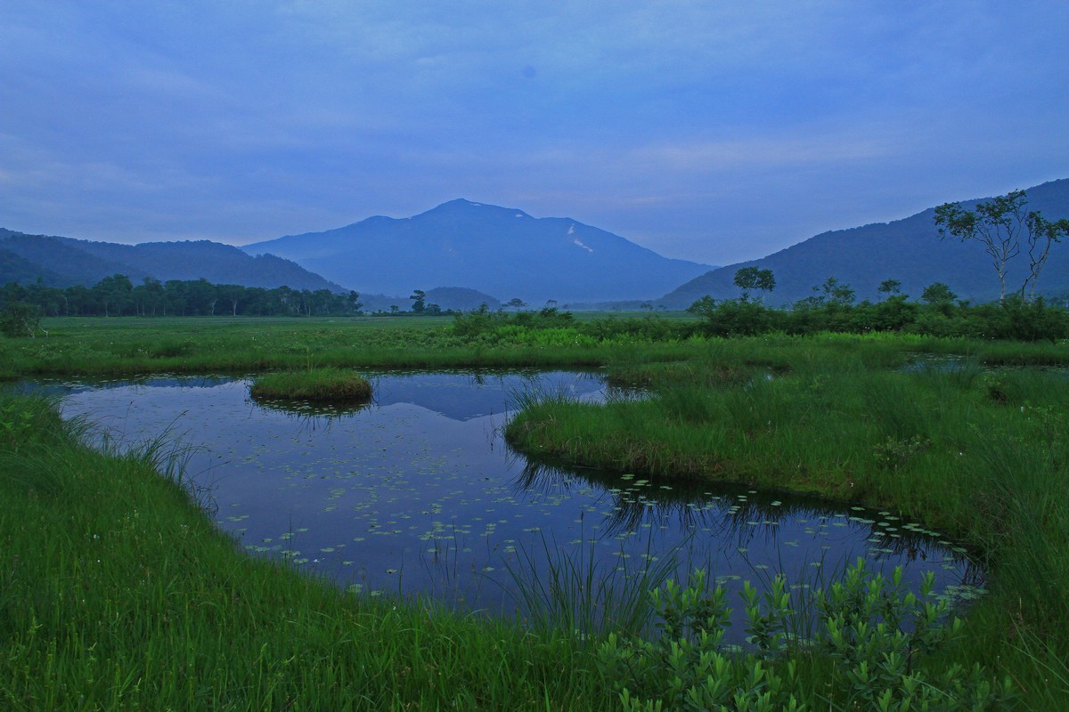 c0104227_7322630.jpg