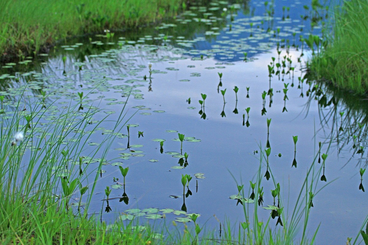 c0104227_8291279.jpg