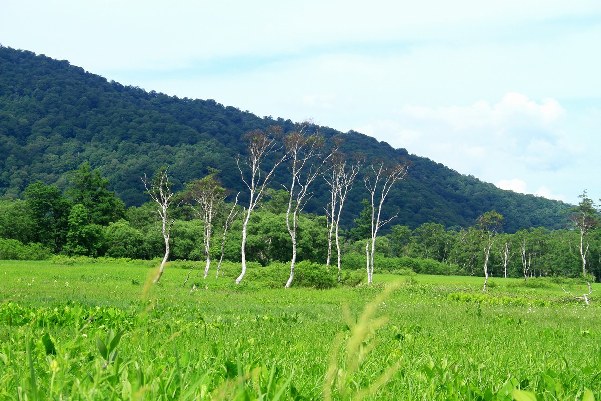 c0104227_834316.jpg
