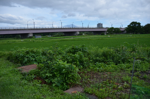 d0156438_13441658.jpg