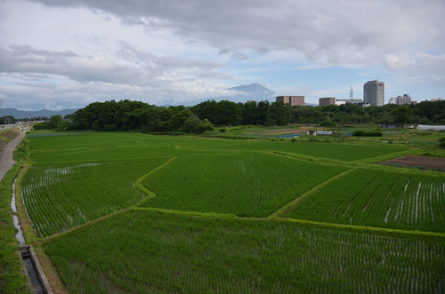 d0156438_13444126.jpg