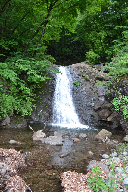 e0228938_172377.jpg