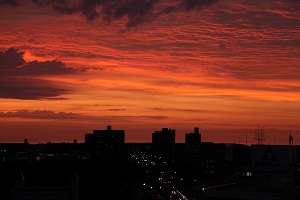e0156339_2258399.jpg