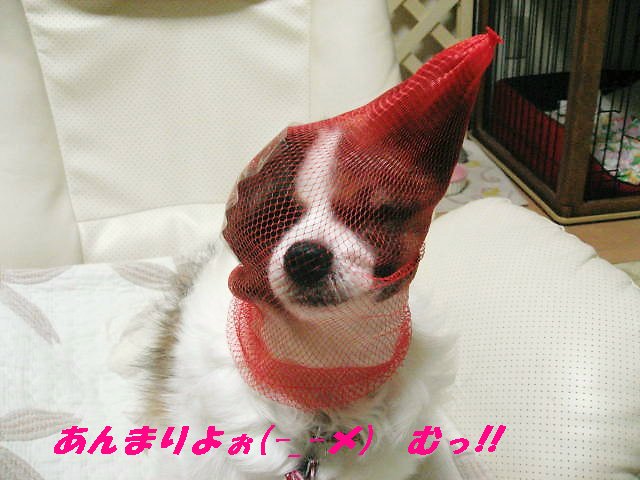 a0149240_200392.jpg