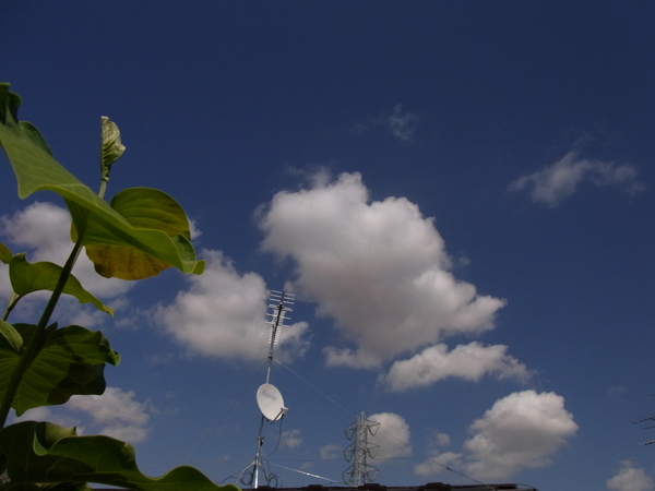 a0175545_16443566.jpg