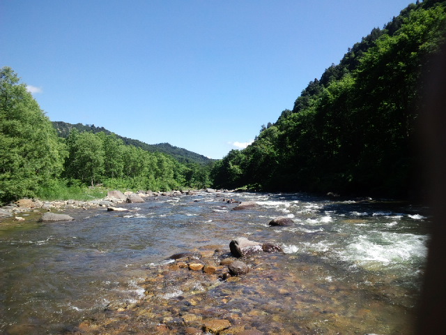 b0180946_20492115.jpg
