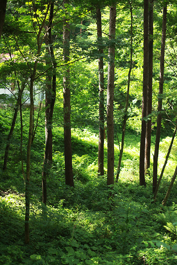 d0008146_23314421.jpg