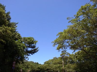 e0126046_9132473.jpg
