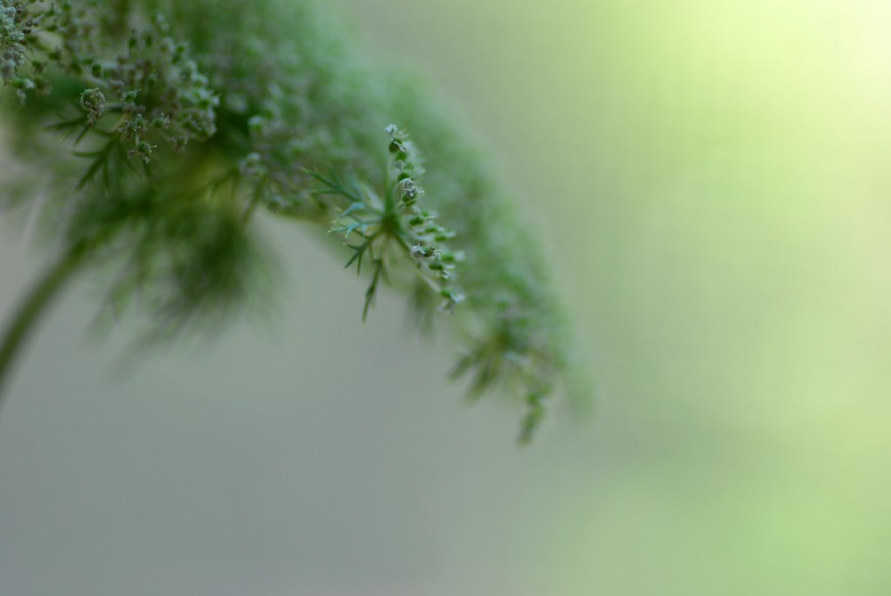 e0009147_6293071.jpg