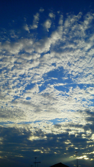 f0179947_129255.jpg