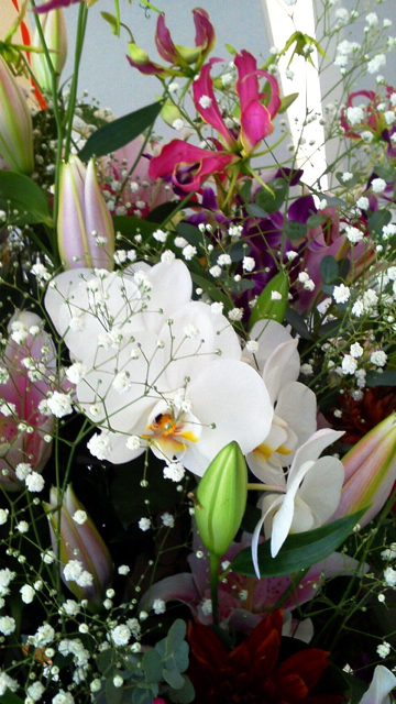 f0179947_1294070.jpg