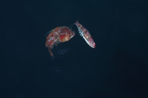 d0021952_22405343.jpg