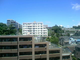 b0002954_1261156.jpg