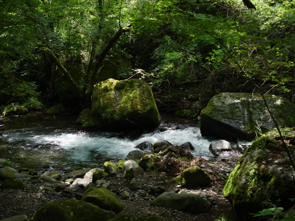 e0223456_944915.jpg