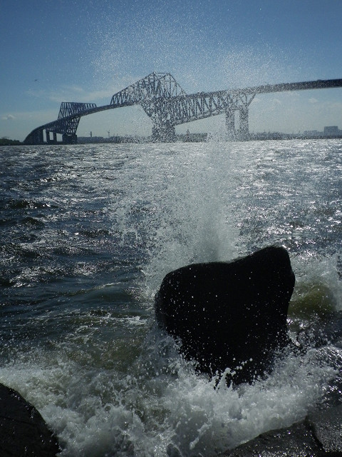 c0080357_23512654.jpg