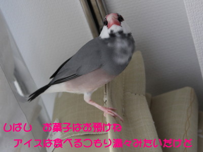 b0158061_19561789.jpg