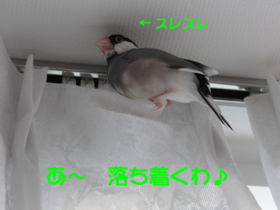 b0158061_1956259.jpg