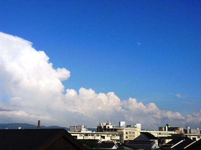 b0044663_071574.jpg