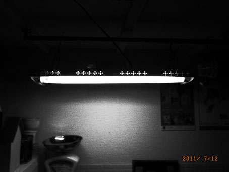 b0075364_19401358.jpg