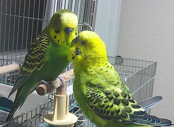 f0196665_0471319.jpg