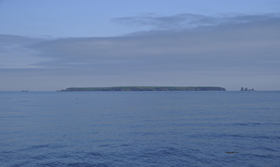 f0176070_23362142.jpg