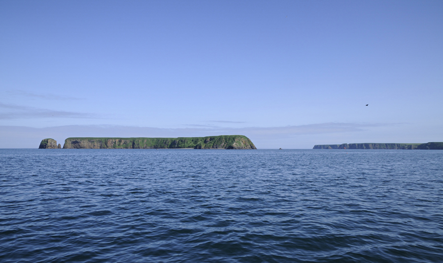 f0176070_23364445.jpg
